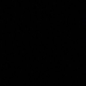 Meet your Posher, Rodney